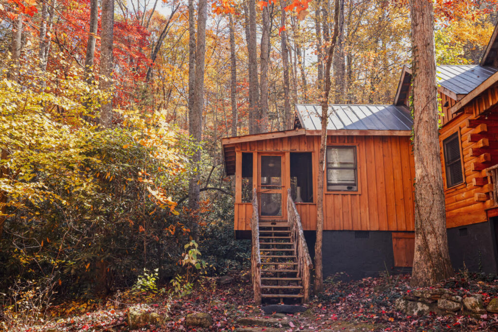 Bird's Nest cabin at Cabin Fever in NC! Main Image