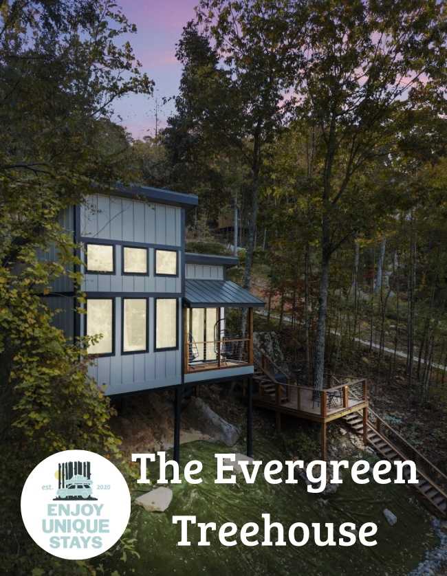 The Evergreen Treehouse with Winter Views! Main Image
