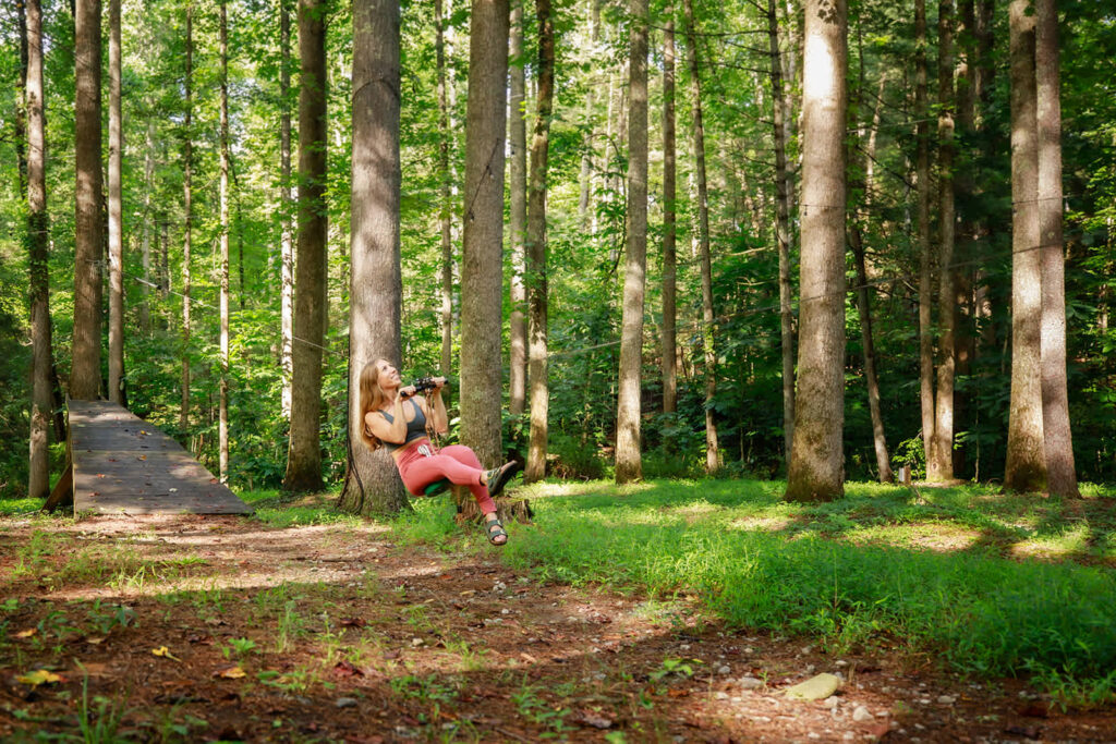 Summer Breeze cabin at Cabin Fever in NC! Main Image