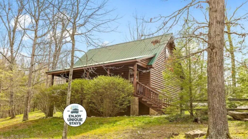 Scenic Solitude at Cabins in the Clouds! Main Image