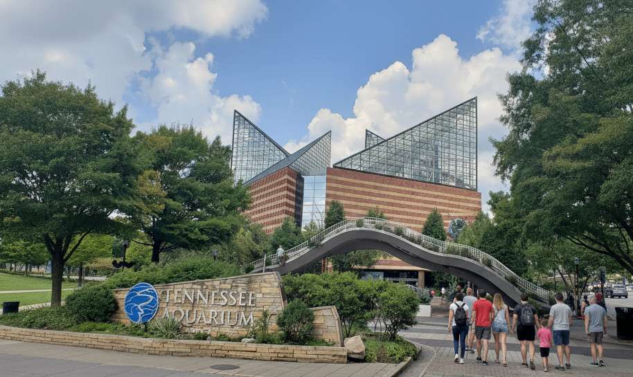 Tourists at Tennessee Aquarium